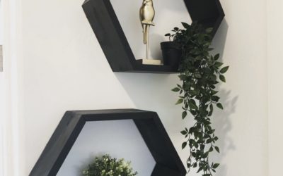 Hexagon Shelves For Under $25