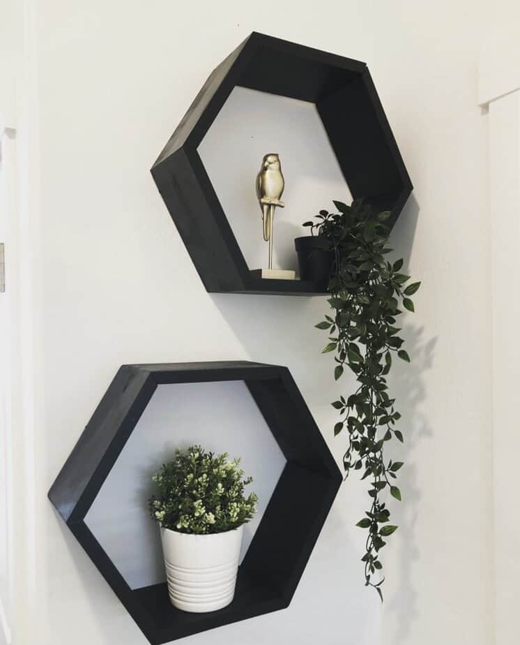 hexagon shelves